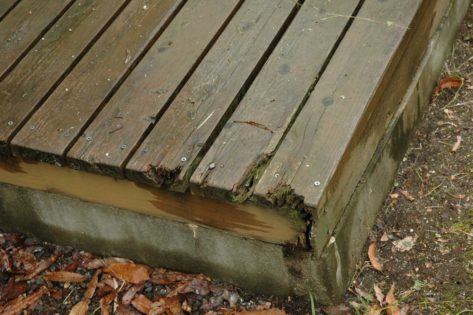 防腐塗装ありの木材で作ったウッドデッキの寿命は人工木より短い