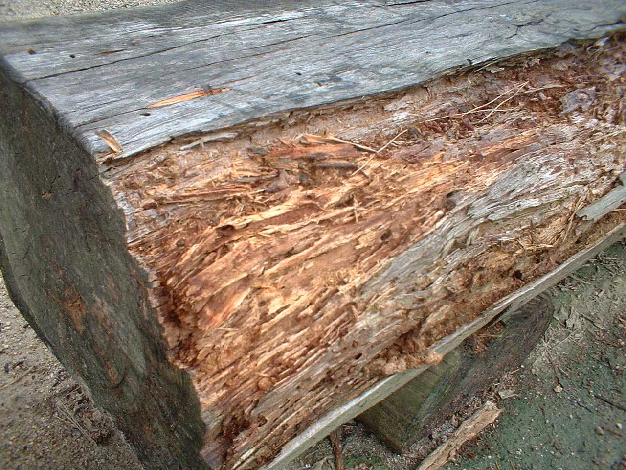 屋外で木材を使用する場合の対策